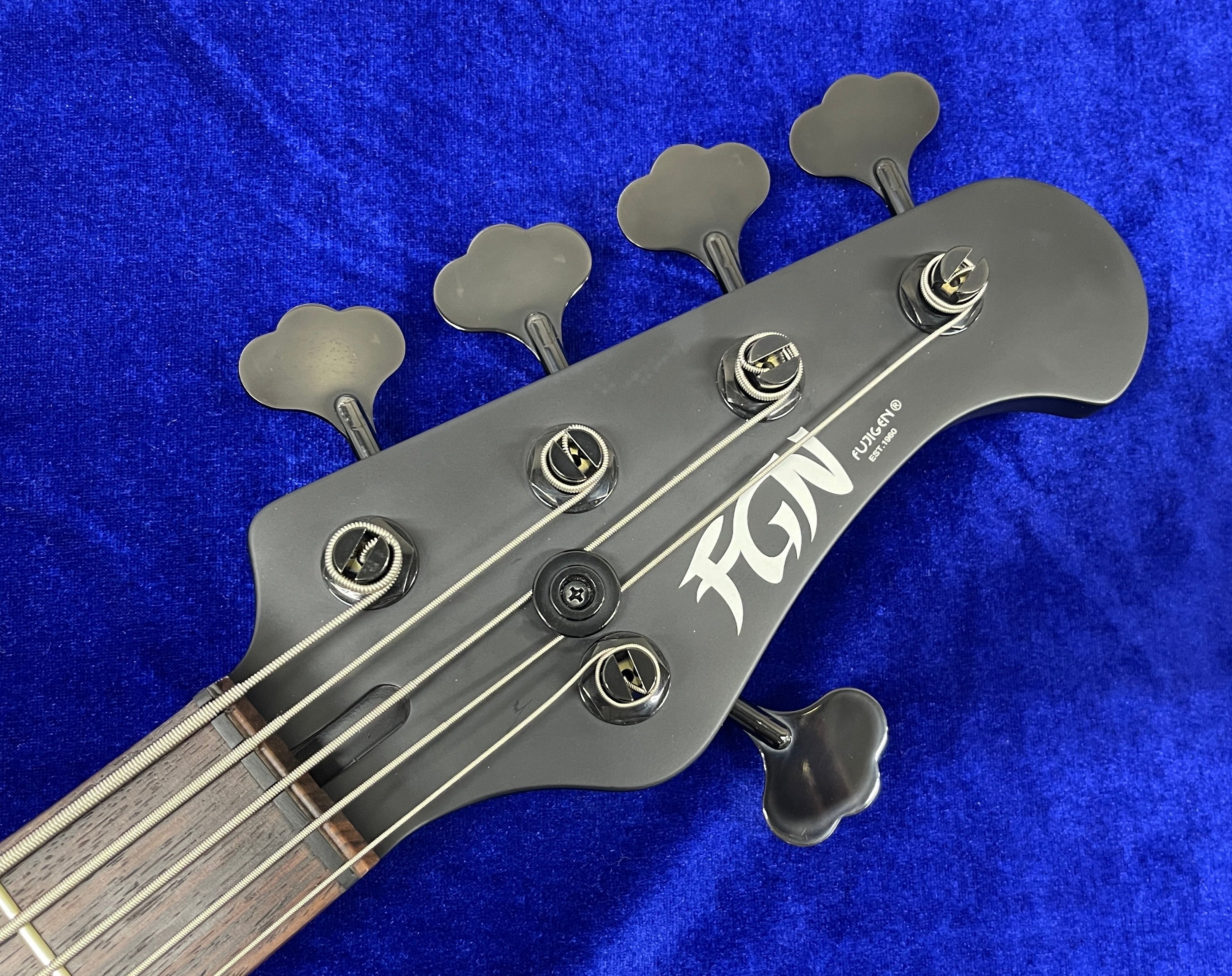Fujigen(FGN) KJMJ5-ASH-DE-R Ash Body 5-String Matte Black w/Soft Case