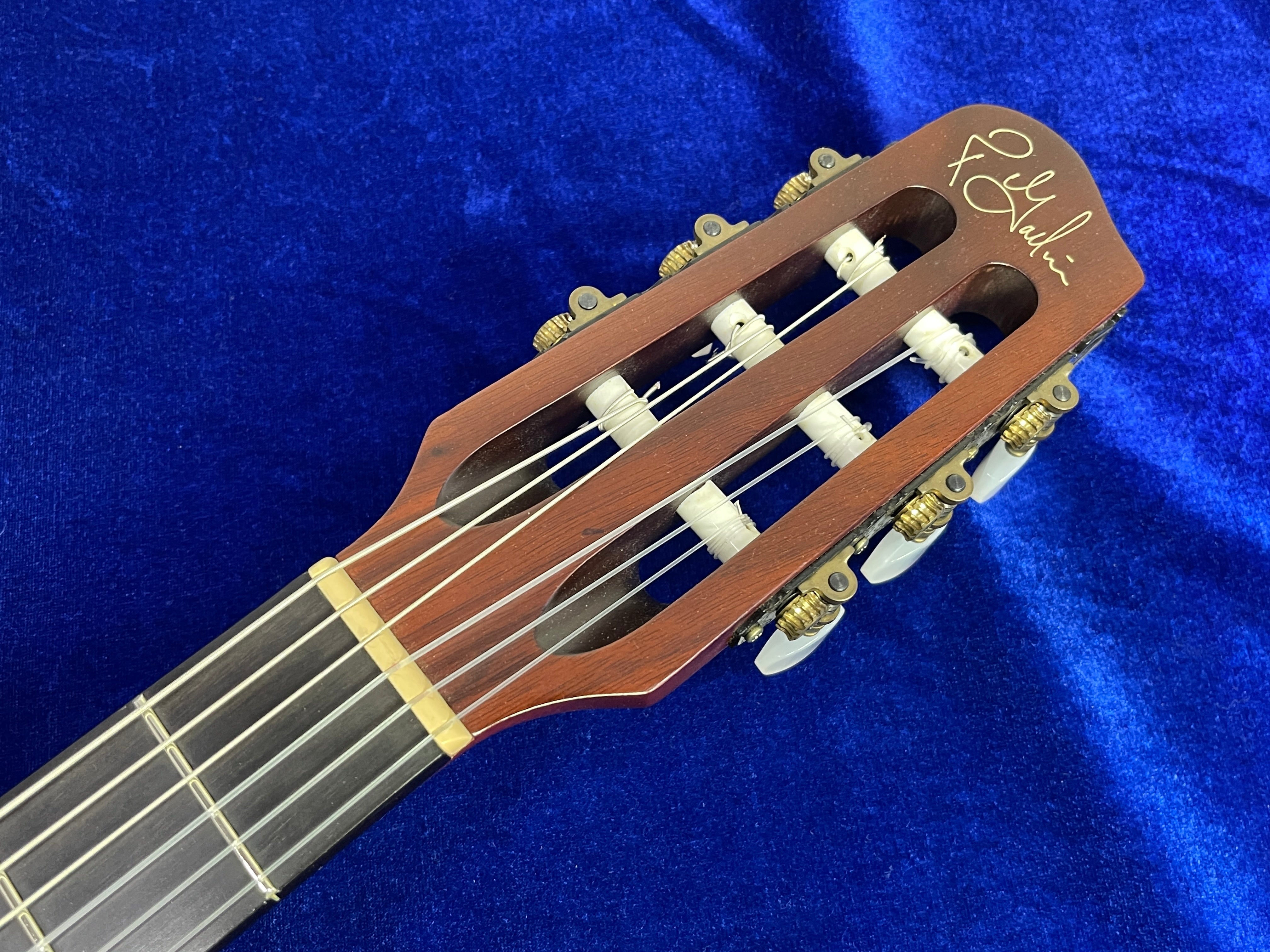 Godin Multiac ACS Slim SA 10th Aniversary Blue w/Hard case