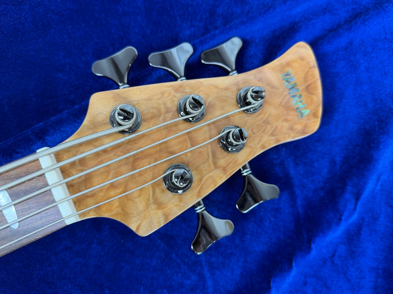 YAMAHA TRB1005J 5 String w/Softcase